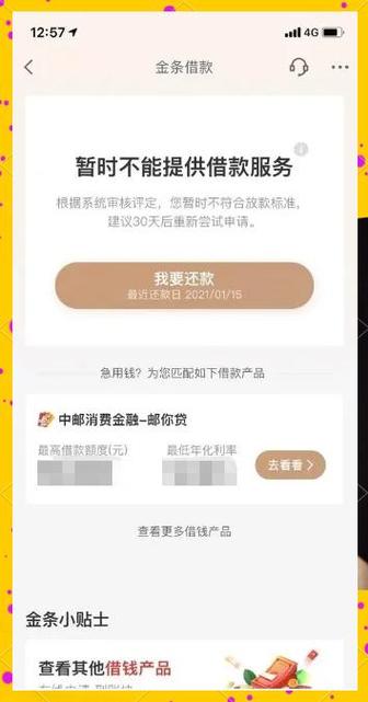 京东金条征信黑能下来吗