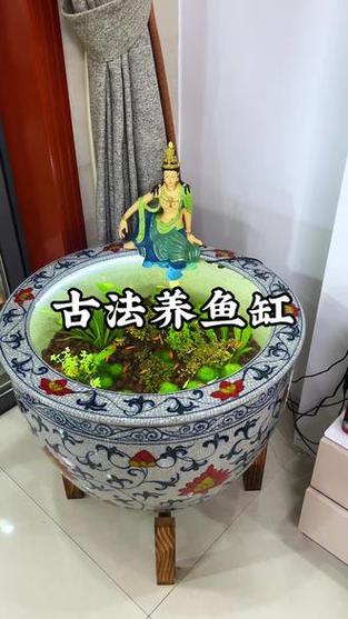 鱼缸只加水不换水可以吗