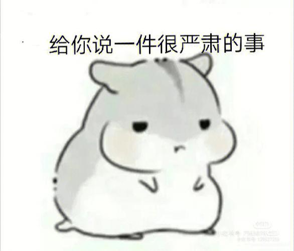 可爱小仓鼠精神发疯可怜表情包图片