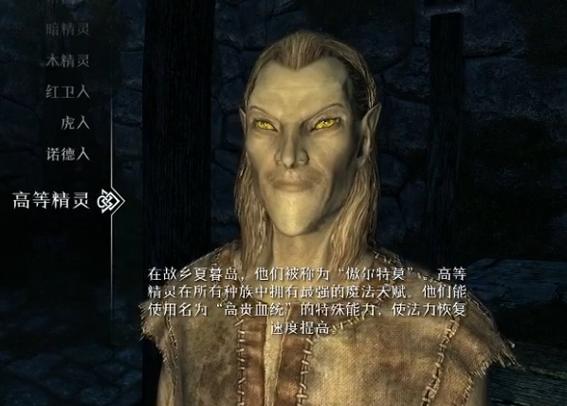 上古卷轴5召唤系和毁灭系哪个好