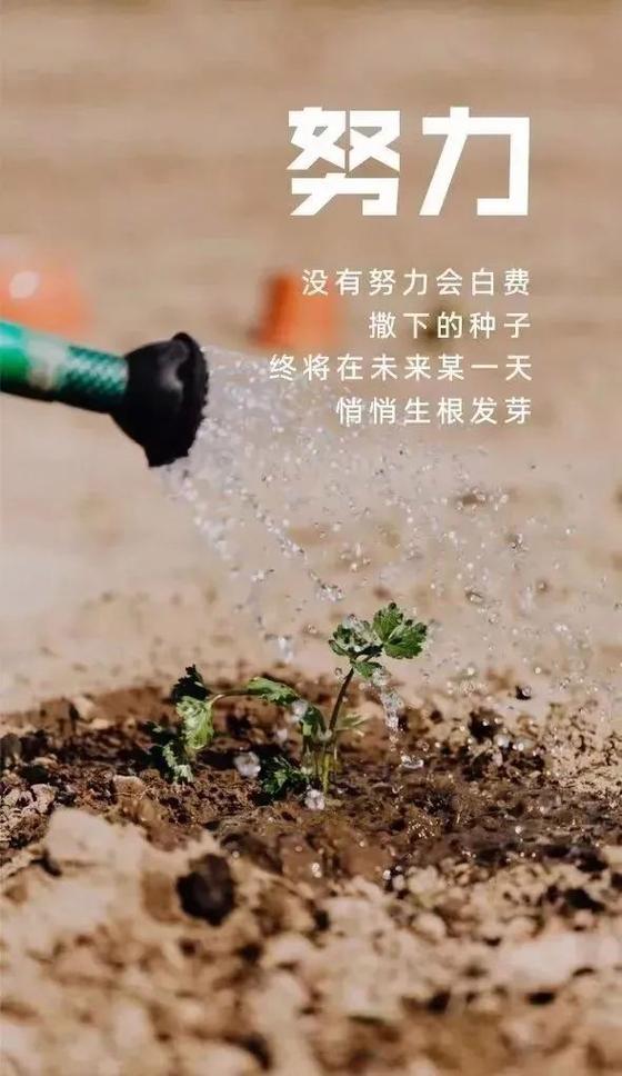有冲劲正能量句子