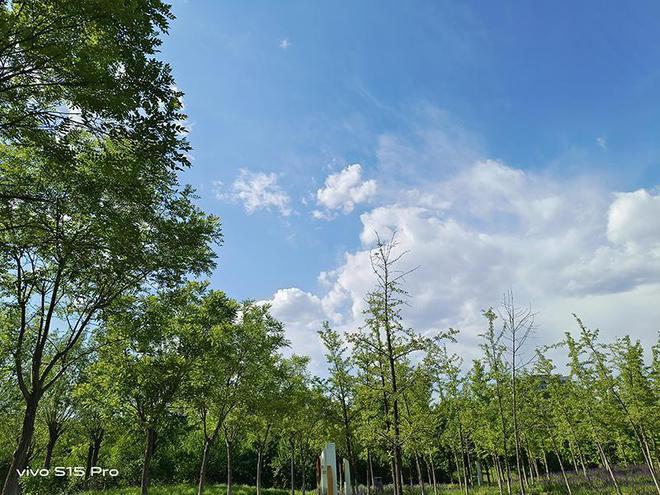 手机照像为什么模糊