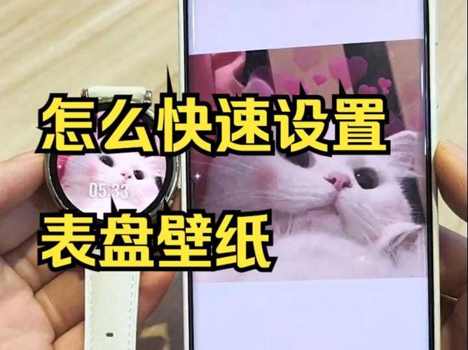 手表表盘壁纸怎么换