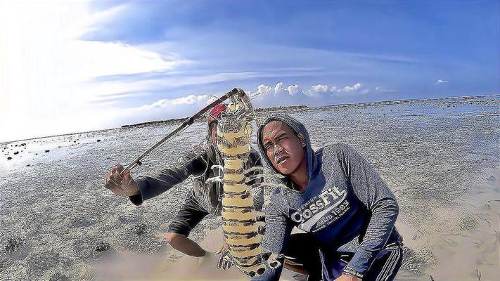 抓皮皮虾视频