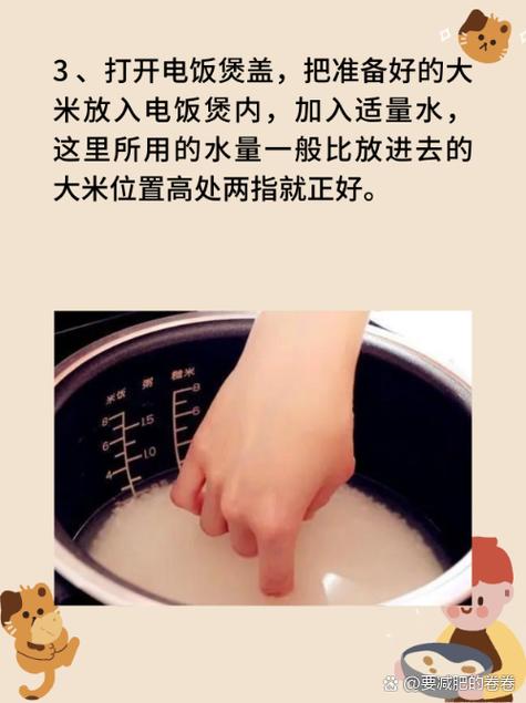 电饭煲蒸煮键和煮饭键