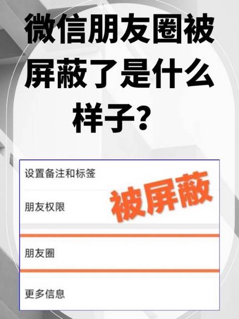 屏蔽对方怎么屏蔽