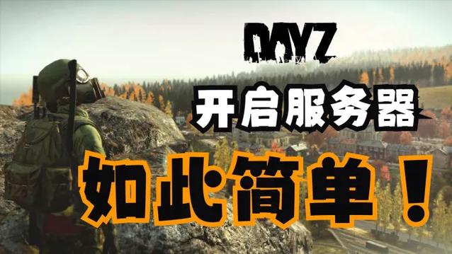 dayz单人局域网服务器