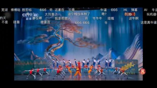 B站查弹幕软件
