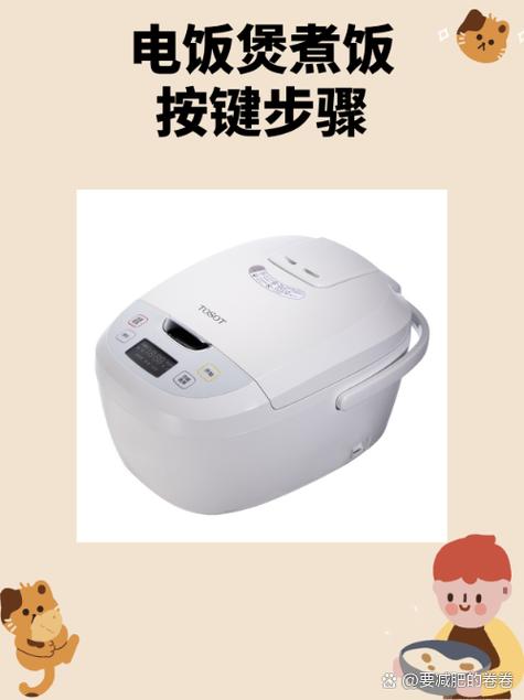电饭煲煮米饭怎么用按哪个按钮