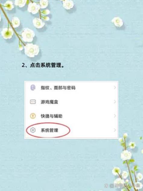 vivoz5桌面挂件怎么设置