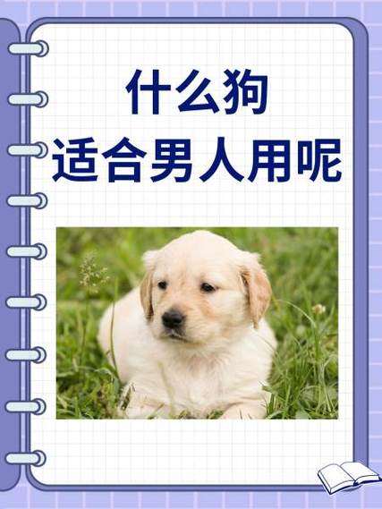 男生叫修狗什么意思