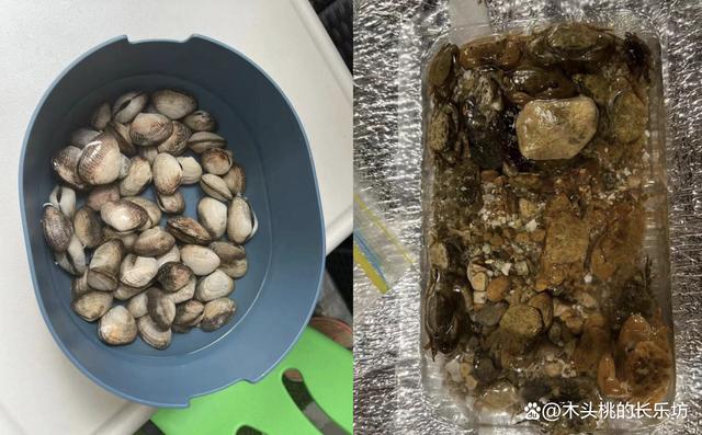 贝壳放什么吐脏东西
