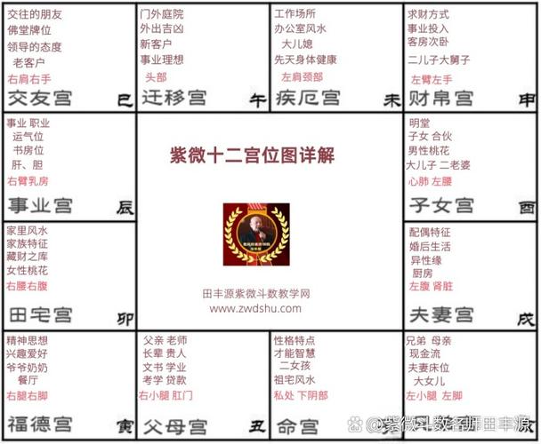 紫微命盘(免费版)