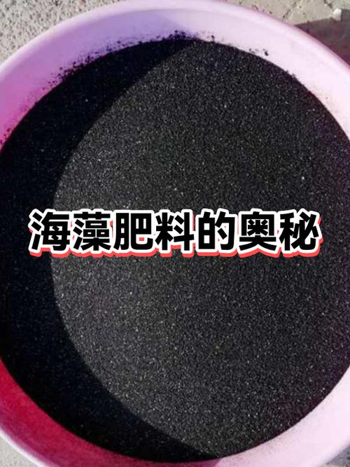 海藻精肥料最好的品牌