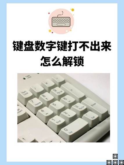 键盘打不了数字怎么办