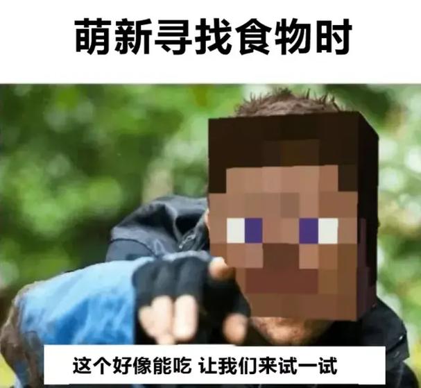 搞笑我的世界生存