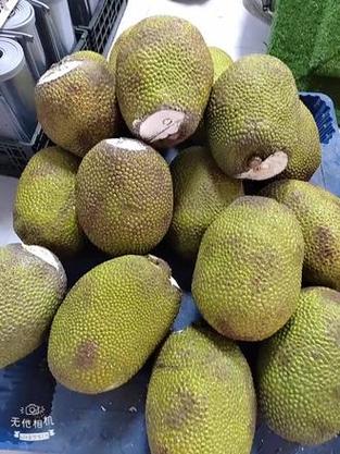 菠萝蜜的价格一般是多少钱