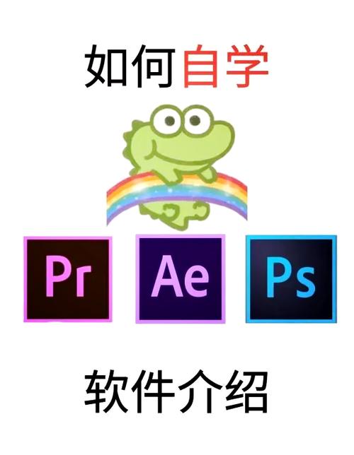小白学剪辑从哪里开始