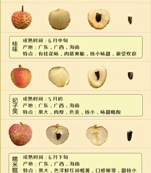 荔枝vip和华数vip差别