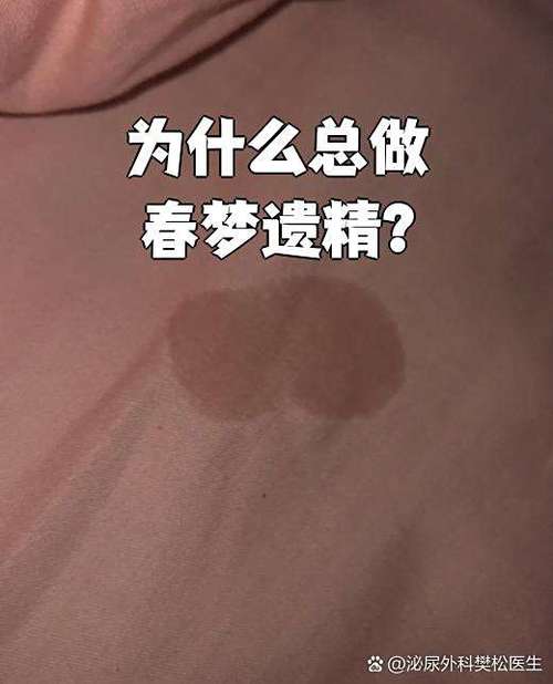 白日春梦