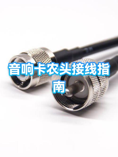 专业音箱两个卡农接口