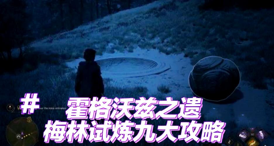 霍格沃茨:拥有梅林血脉的我来了
