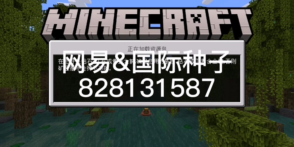 我的世界生存神级种子