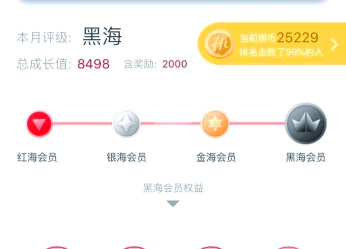 八个级别会员等级名称