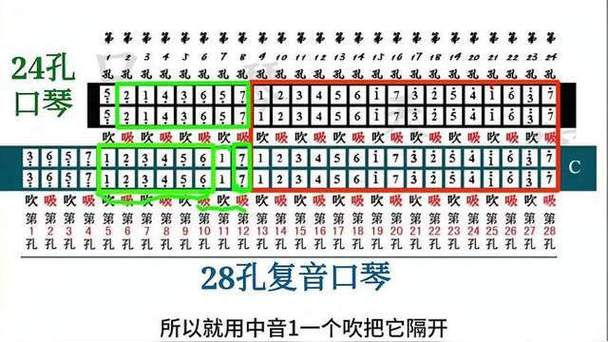 24孔和28孔口琴对照图