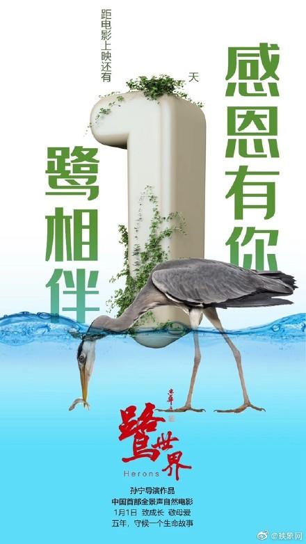 鹭世界在线观看完整版