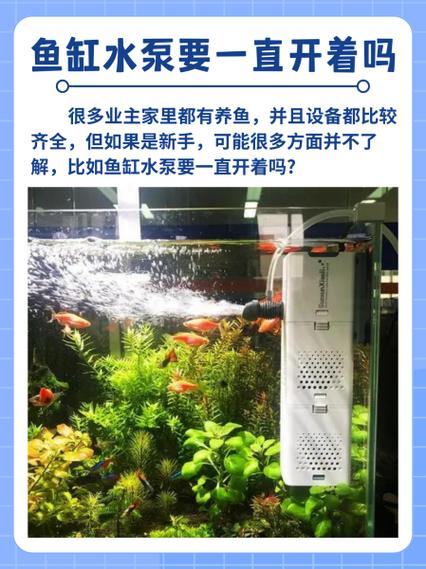 鱼缸循环泵需要一直开着吗