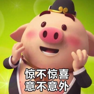 意外惊喜图片