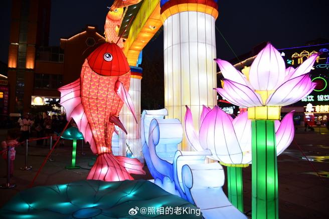 锦鲤开灯最佳时间