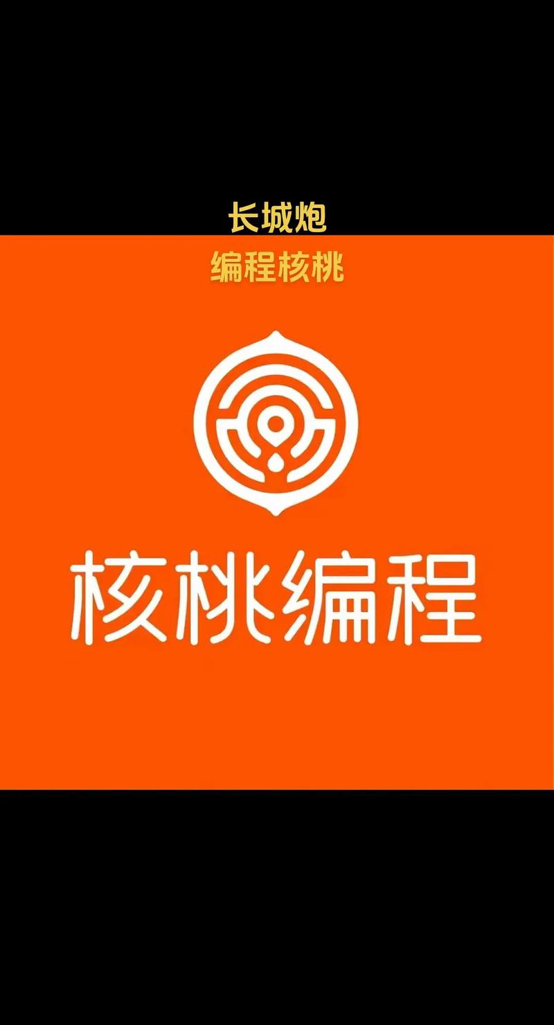 核桃编程官网