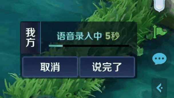 为什么王者语音别人听不到