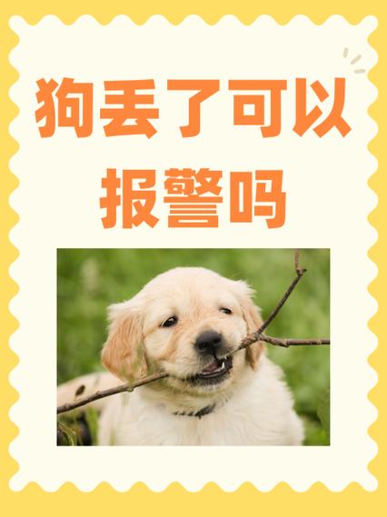 狗丢了如何快速找回