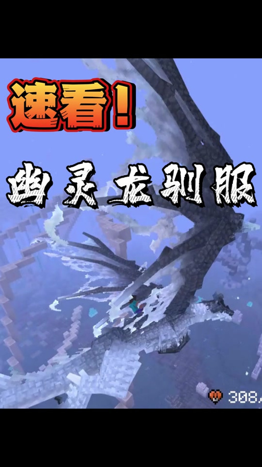 我的世界驯龙者