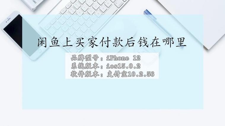 闲鱼显示已付款,钱在哪