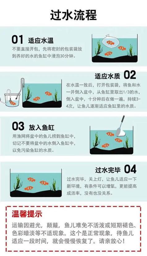 新鱼入缸趴缸底不动怎么办