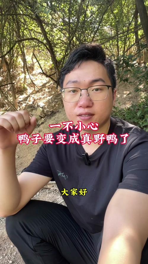 为什么有的人不敢抓鸭子