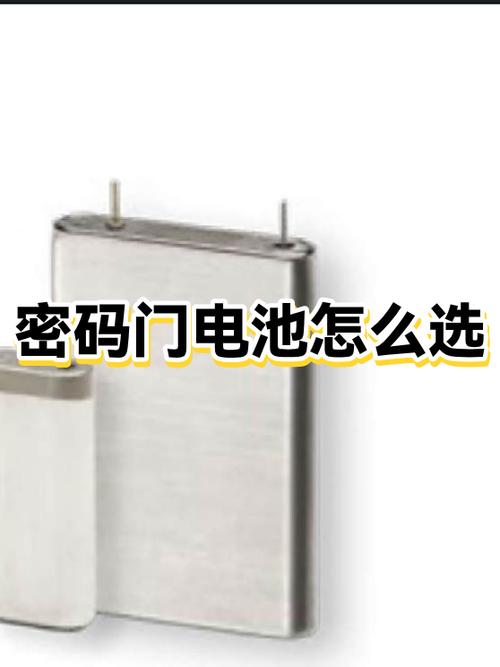 密码锁门是几号电池