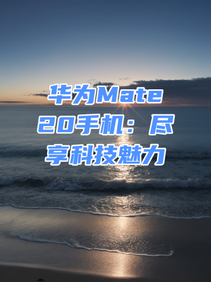 华为mate20停车助手怎么没了