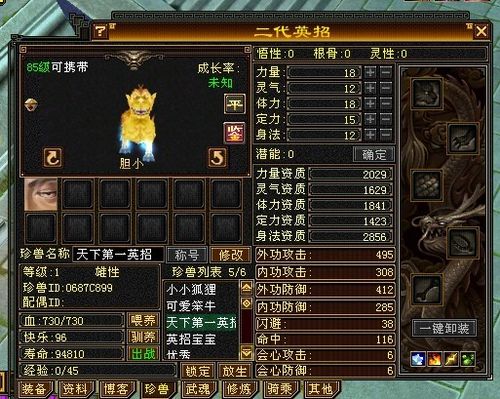 天龙宝宝资质计算器