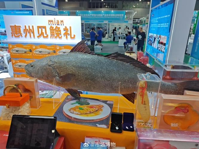 鳘鱼和鮸鱼