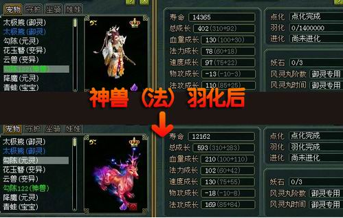 问道变异怎么变神兽