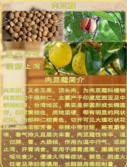 京东豆蔻使用规则