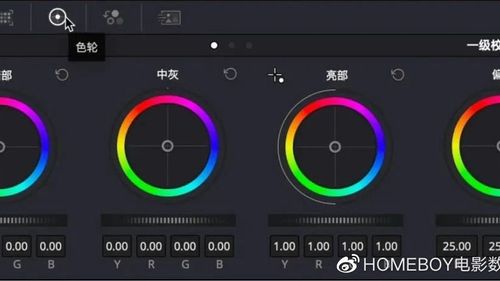 log模式用什么软件调色