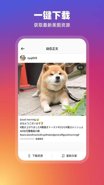 正版instagram最新版本