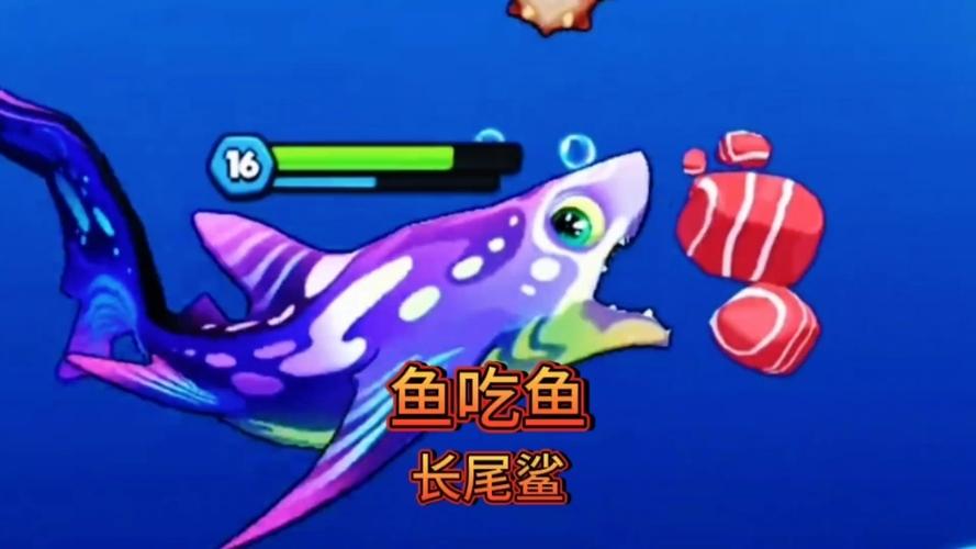 鲨鱼吃鱼游戏