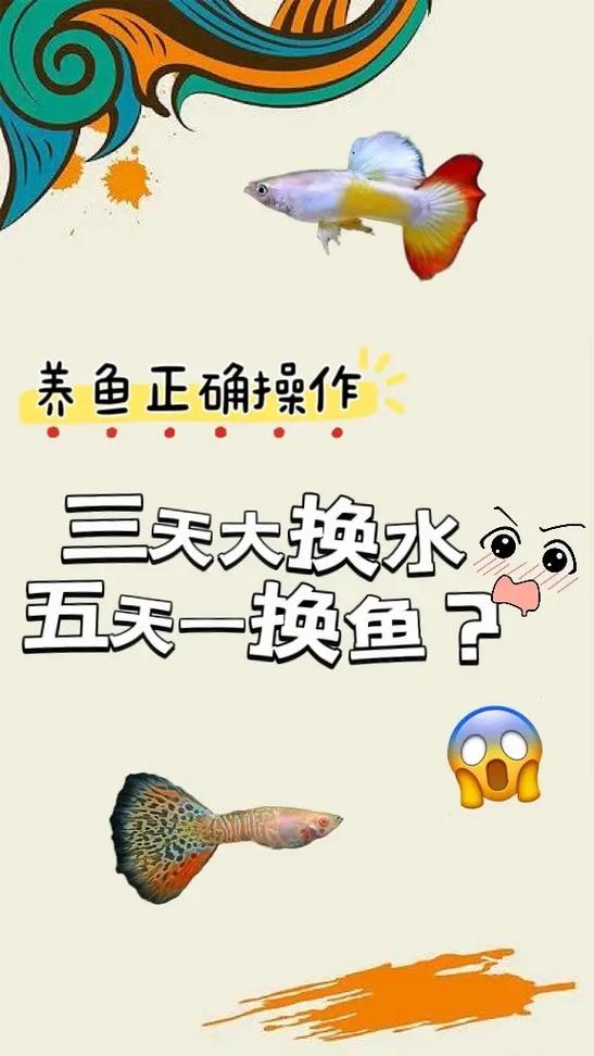 养鱼换水的方法